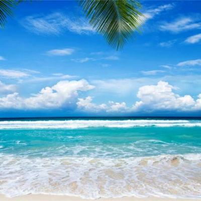 澳门威尼克斯人网站截图