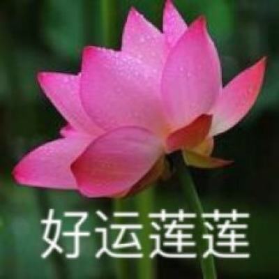 澳门威尼克斯人网站